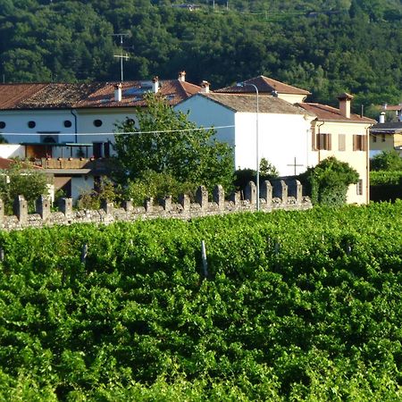 Agriturismo Grillo Iole Winery Prepotto  Luaran gambar