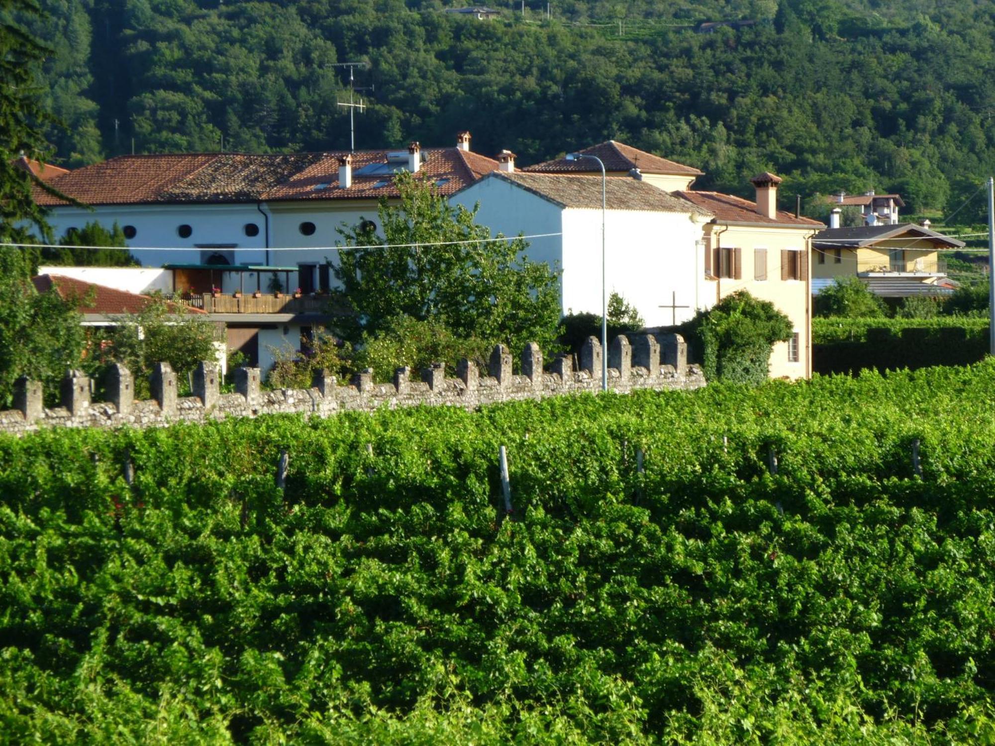 Agriturismo Grillo Iole Winery Prepotto  Luaran gambar
