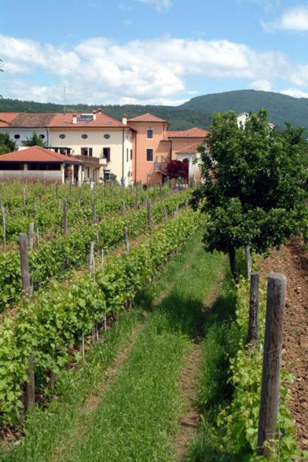 Agriturismo Grillo Iole Winery Prepotto  Luaran gambar